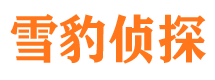 延吉外遇调查取证